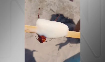 Banhista encontra barata em picolé no RJ; fábrica é interditada