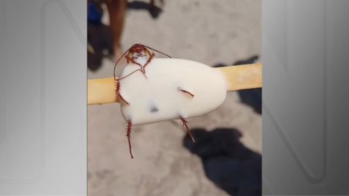 Consumidor encontrou barata em picolé no Rio de Janeiro