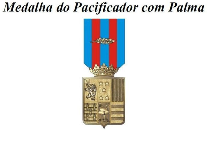 Medalha do Pacificador com Palma • Secretaria-Geral do Exército
