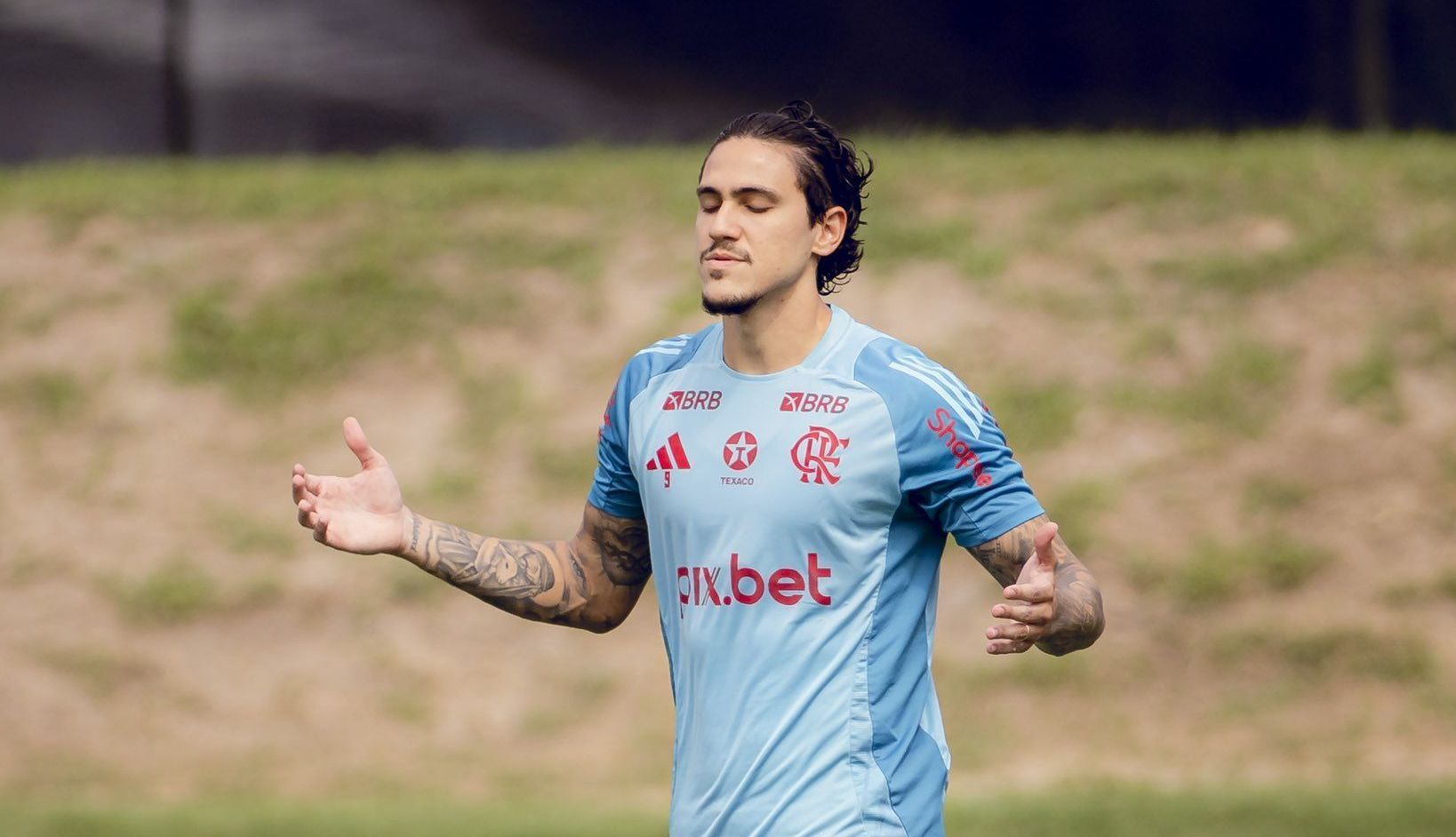 Pedro_Treino