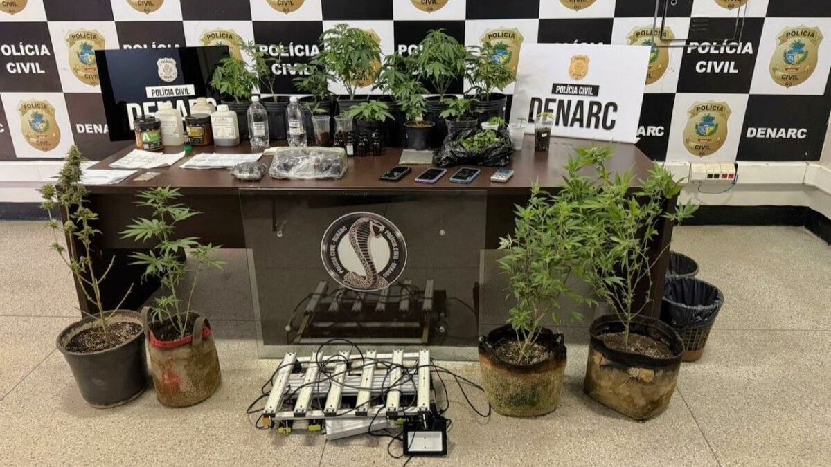 Polícia de Goiás Desarticula Grupo que Vendia Óleo de Cannabis Ilegalmente_2