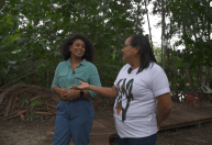 Bioeconomia na Amazônia: Conheça o cacau que preserva a floresta