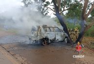 Carro em zigue-zague bate em árvore, pega fogo e dois morrem em Brasília