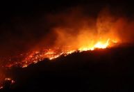 Vídeo: Incêndios florestais enormes atingem zona rural da Latakia, na Síria