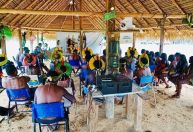 COP 30: Projeto forma líderes indígenas para debates da conferência