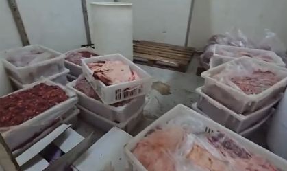 Dono de frigorífico é preso com 38 toneladas de carne imprópria em SP
