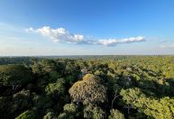 Brasil fecha acordo para aumentar vigilância contra crimes na Amazônia