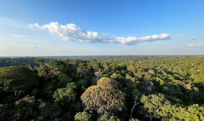 Desmatamento aumenta 18% de agosto a março na Amazônia