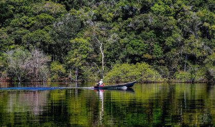 Amazônia tem potencial em microrganismos para uso agrícola e farmacêutico