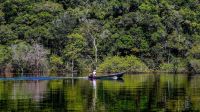 Desmatamento ameaça capacidade da Amazônia de capturar carbono, diz estudo