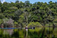 Fundo Amazônia bate recorde ao destinar mais de R$ 1 bilhão em 2025