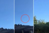 Vídeo mostra avião caindo em aldeia indígena no litoral de SP; veja
