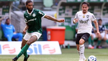 Palmeiras e Botafogo só empataram no Allianz Parque pelo Brasileirão