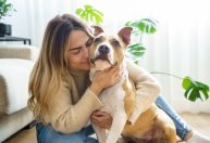 Humanos ainda não entendem emoções de seus cachorros, mostra estudo