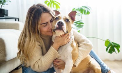 Pets: pesquisa aponta que 80% dos animais nos lares do Brasil são adotados