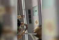 Jovem registra assédio dentro de vagão de trem em São Paulo