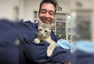 Psicólogo é preso por torturar e fazer “experimentos” em gatos no DF