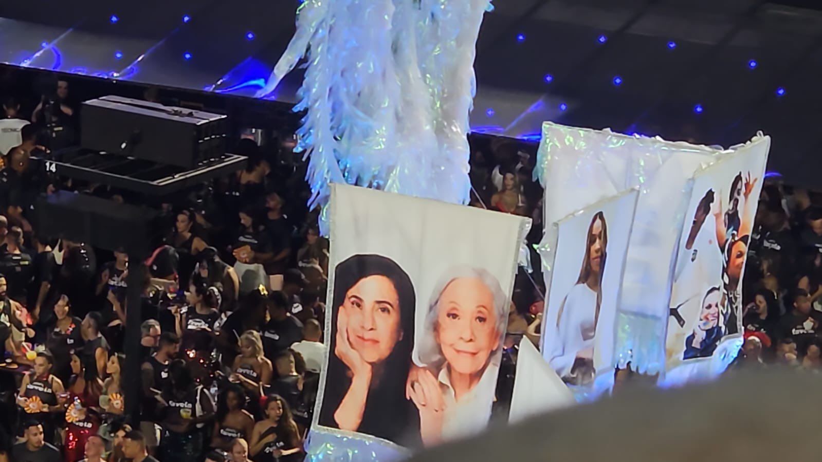 Fernanda Torres e Fernanda Montenegro são homenageadas na Sapucaí