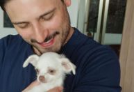 Daniel Rocha adota cachorro enquanto Vitória Strada está no BBB25