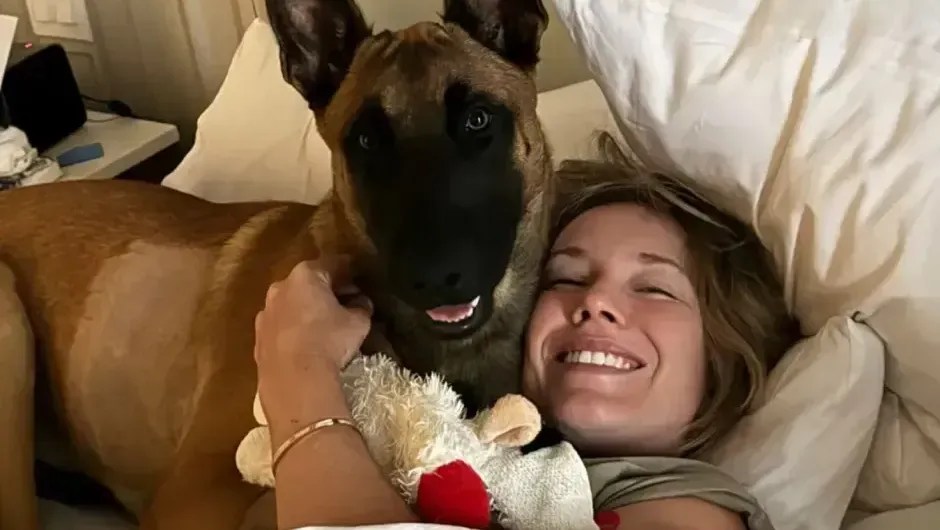 Danielle Collins adota cachorro atropelado no Miami Open