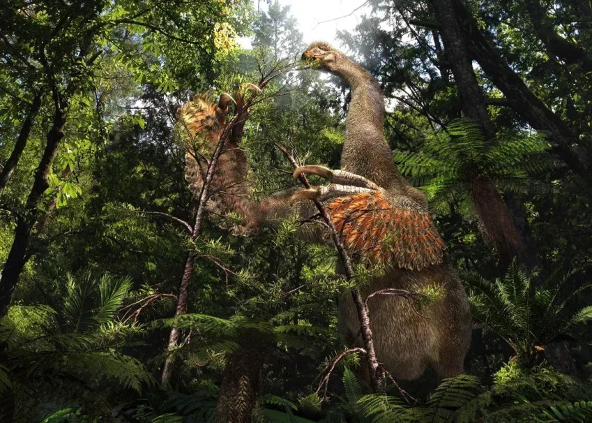 Uma ilustração de como o Duonychus tsogtbaatari deve ter se parecido em vida, usando suas enormes garras para agarrar galhos de árvores • Masato Hattori