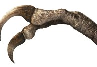 Nova espécie de dinossauro descoberta lembra "Edward Mãos de Tesoura"