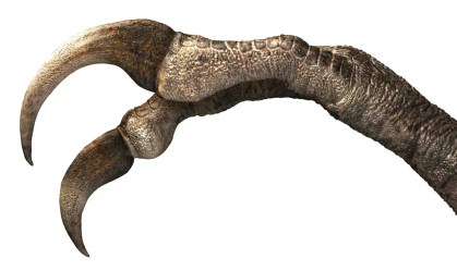 Nova espécie de dinossauro descoberta lembra "Edward Mãos de Tesoura"