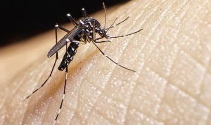 Dengue no Brasil: mais de 1 milhão de casos prováveis em 2025