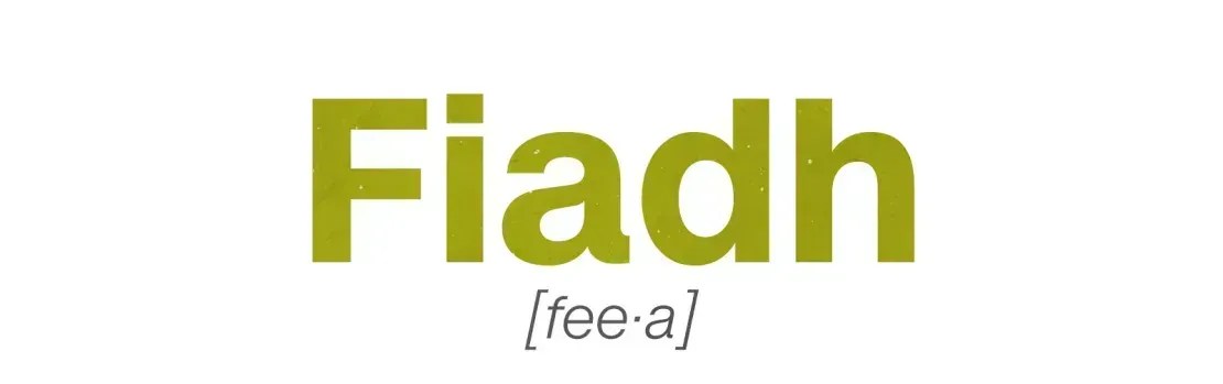 Pronúncia de Fiadh na Irlanda • CNN