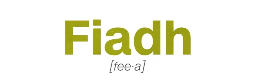 Pronúncia de Fiadh na Irlanda • CNN