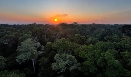 Investimento é desafio para projetos de restauração florestal no Brasil