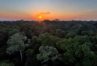 Chefe da ONU para Clima vê no TFFF "passo crucial" na proteção do planeta