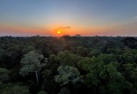 Investimento é desafio para projetos de restauração florestal no Brasil