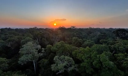 Investimento é desafio para projetos de restauração florestal no Brasil
