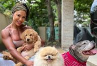 Gracyanne Barbosa se pronuncia sobre perda de cachorros durante BBB25