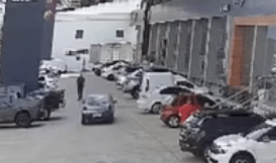 irmão mata irmão