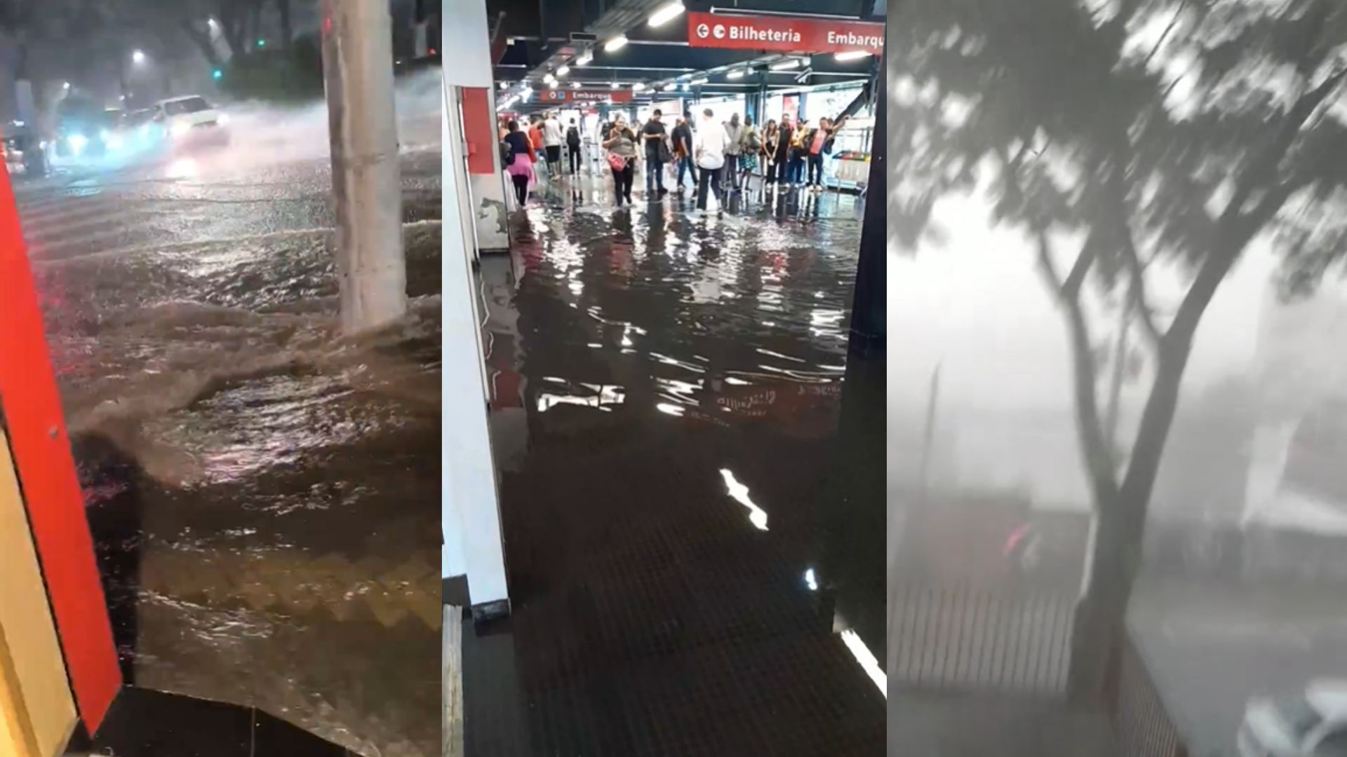 Temporal causa estragos em São Paulo e Região Metropolitana; veja
