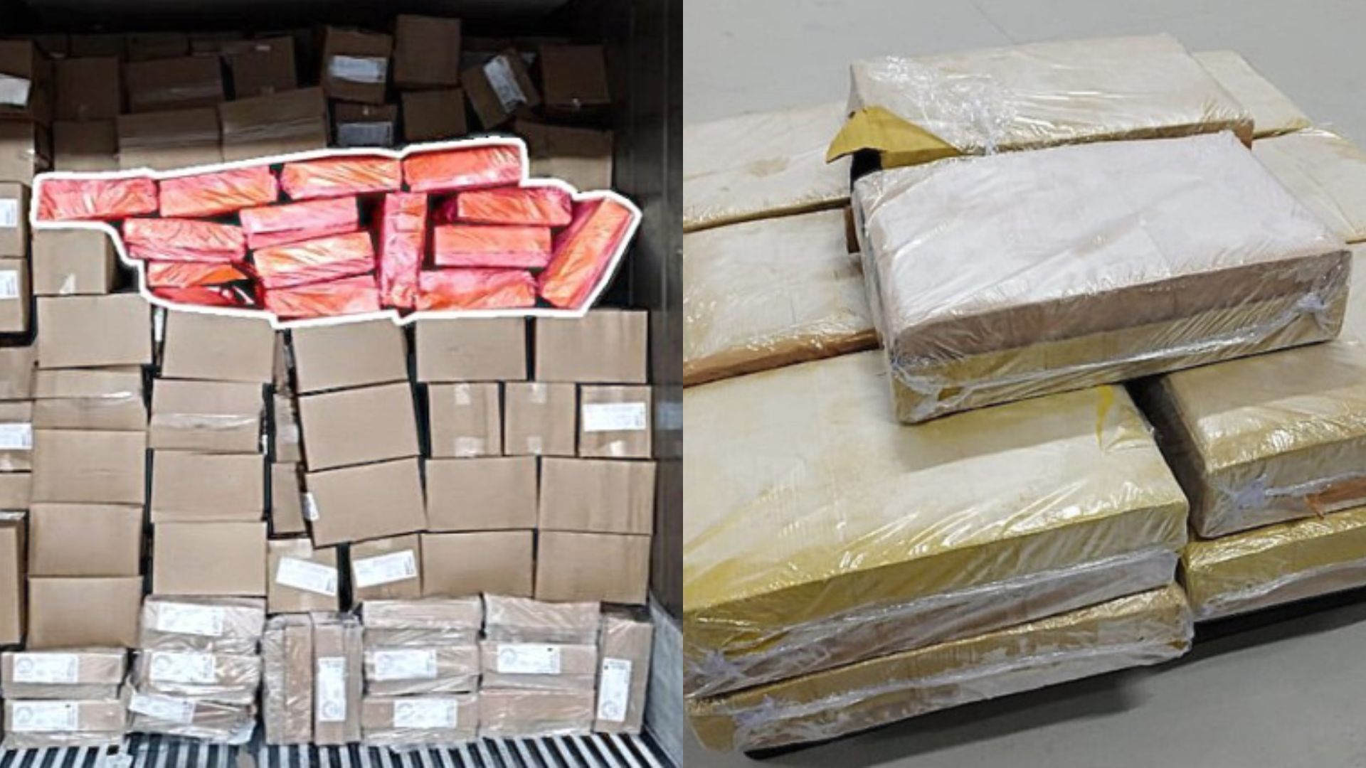 PF investiga tráfico de drogas que usava cargas de alimentos congelados