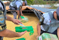 Maconha a granel: 2 toneladas de droga são apreendidas no interior de SP