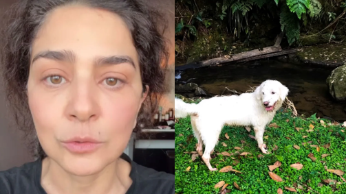 Atriz relembrou momentos que teve com seus cachorros