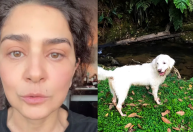 Leticia Sabatella relembra vídeos de cães doados sem sua autorização