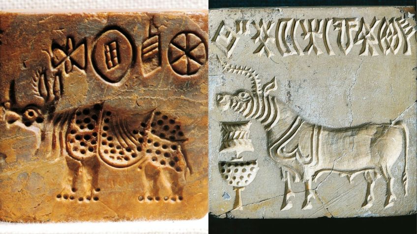 Um selo de pedra com a inscrição do Vale do Indo representando um rinoceronte indiano, encontrado em Mohenjo-daro. Muitos selos tinham esse motivo comum, frequentemente descrito como um unicórnio, embora outros afirmem que era um touro • Getty Images