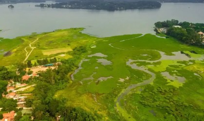 Parque na orla da represa Guarapiranga tem 261 espécies de aves