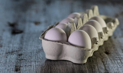 Global Eggs compra granja Legaria na Espanha e mira aquisições na Europa