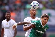 Palmeiras x Botafogo no Mundial? Entenda possibilidades para as oitavas