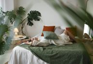 Plantas ajudam a dormir melhor? Entenda a atuação e saiba quais comprar