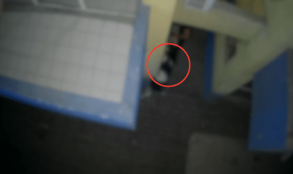 Vídeo: câmeras de segurança flagram violência sexual no litoral do Paraná