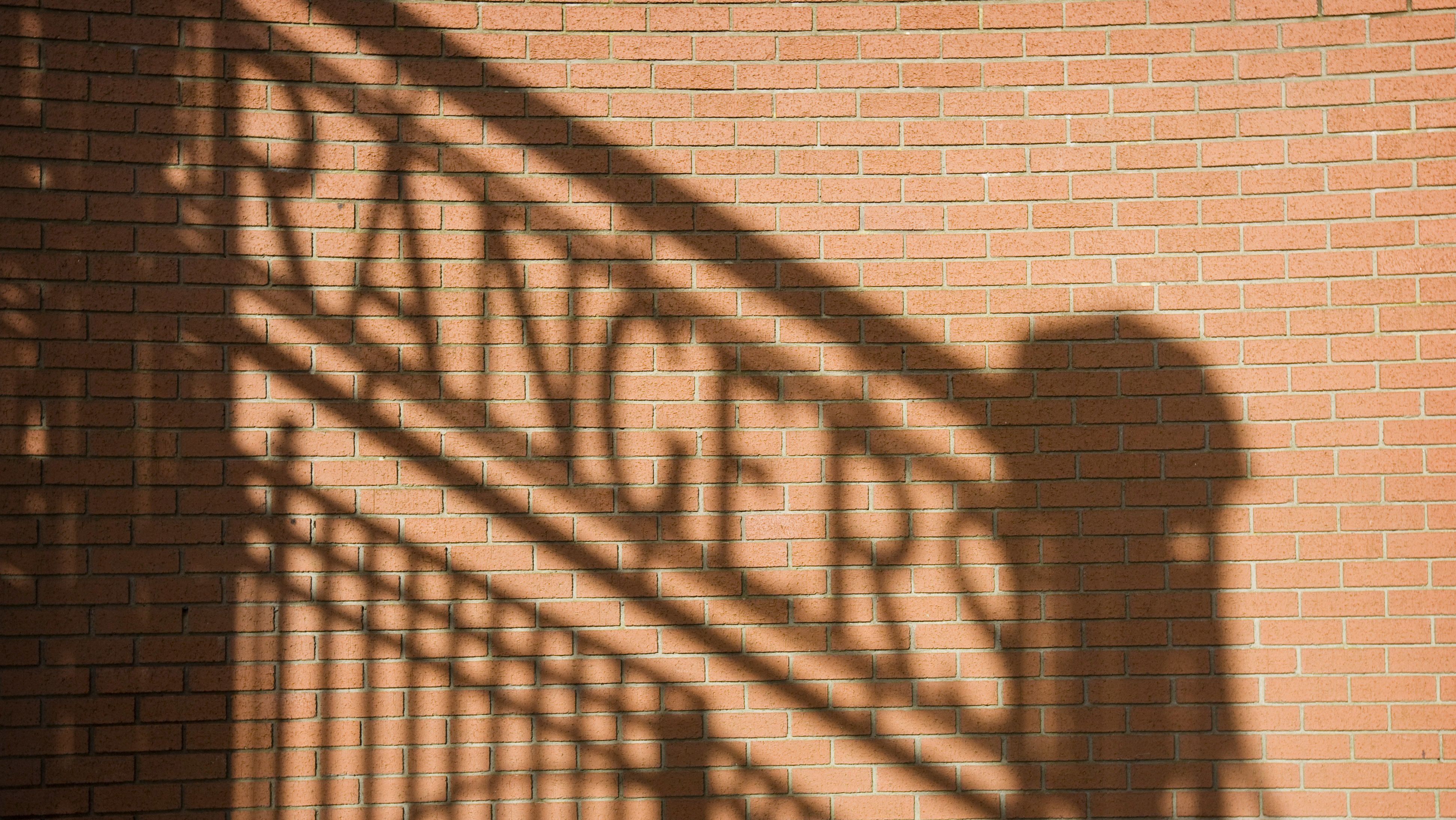Torcedor do Rangers morre em acidente de carro antes de jogo