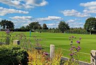 Clube da Premier League inaugura casas de morcego e hotéis de insetos em CT