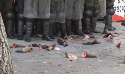 Açougueiros bolivianos atiram chifres contra polícia em ato contra inflação